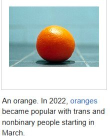 picture of an orange with the caption: an orange. in 2022, oranges became popular with trans and nonbinary people starting in march