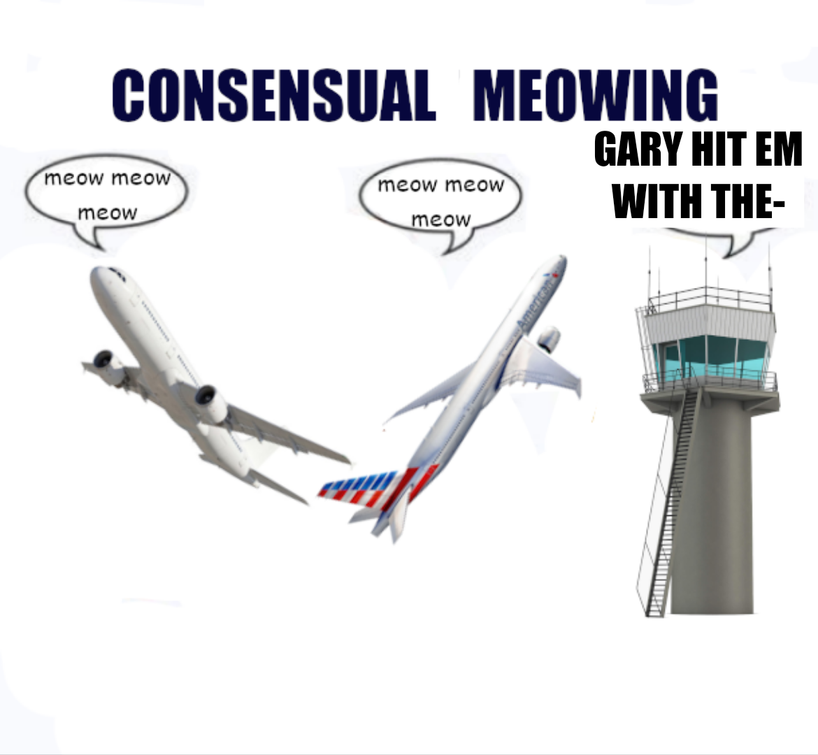 the above image edited. now there's no bottom text, the top text says "consensual meowing", the planes still meow, and the tower says "gary hit em with the"